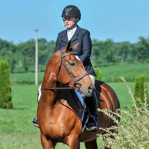 Meet your Posher, Dawn